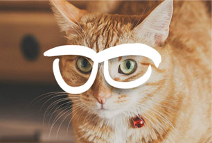 очки «Классика жанра»